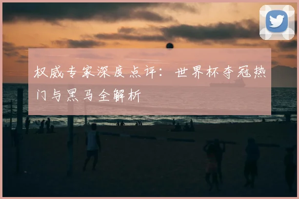 权威专家深度点评：世界杯夺冠热门与黑马全解析