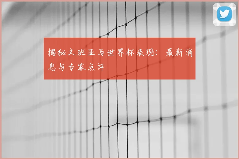 揭秘文班亚马世界杯表现：最新消息与专家点评