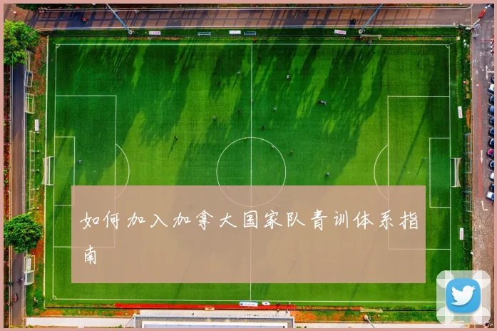 如何加入加拿大国家队青训体系指南
