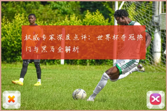 权威专家深度点评:世界杯夺冠热门与黑马全解析